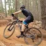 Rockrider XC 50 Mountain Bike