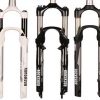 Rockshox Fork Sale