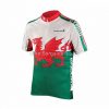 Endura Wales Flag Short Sleeve Jersey