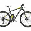 Focus Whistler2 3.9 Hardtail Alloy Electric Bike 2019