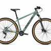 Focus Whistler 3.8 Alloy Mountain Bike 2020