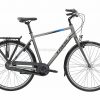 Trek L100 Alloy City Bike 2020