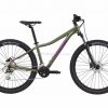 Cannondale Trail 6 29er Ladies Alloy Hardtail Mountain Bike 2021