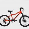Barracuda Flare 20″ Kids Mountain Bike
