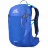 Gregory Avos 15 Backpack