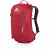Gregory Salvo 18 Backpack