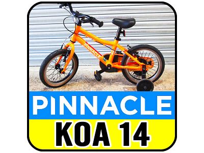 Pinnacle Koa 14 inch Kids Bike