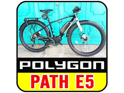 Polygon Path E5 Electric Bike