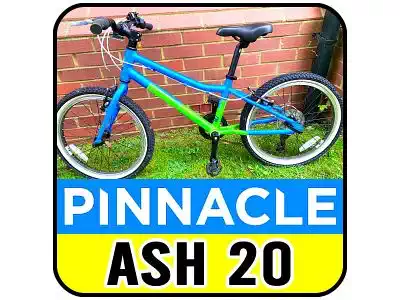 Pinnacle Ash 20 inch Kids Bike