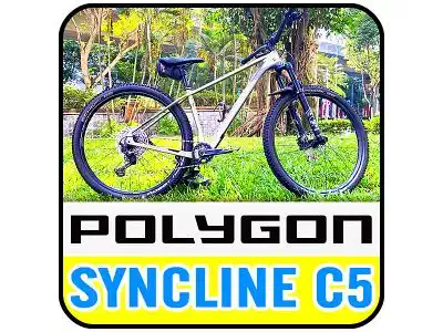 Polygon Syncline C5 29″ Carbon Hardtail Mountain Bike
